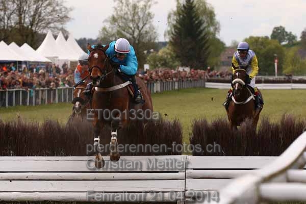 ET0Q1330a prot